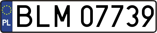 BLM07739