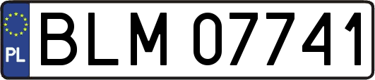 BLM07741