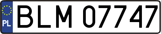 BLM07747