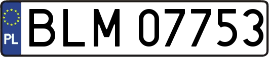 BLM07753