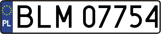 BLM07754