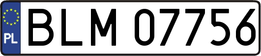 BLM07756