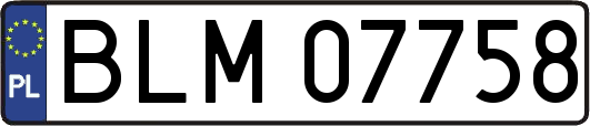 BLM07758