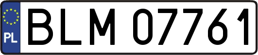BLM07761