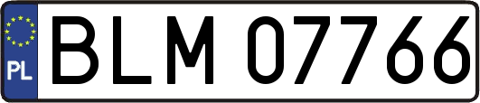 BLM07766