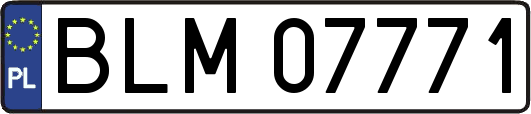 BLM07771