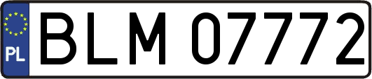 BLM07772