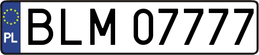 BLM07777