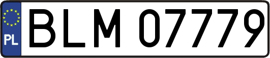 BLM07779