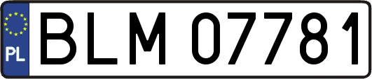 BLM07781