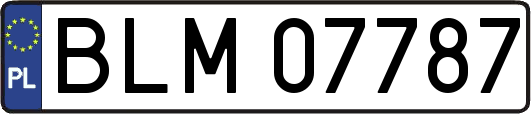 BLM07787