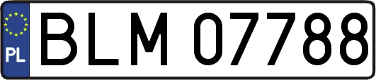 BLM07788