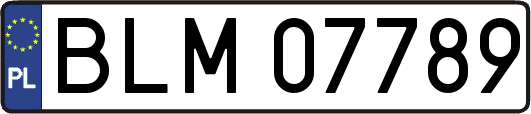 BLM07789