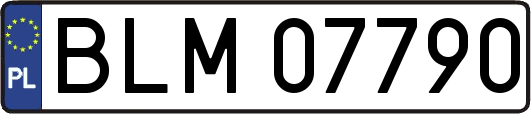 BLM07790