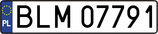 BLM07791