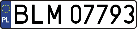 BLM07793