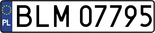 BLM07795