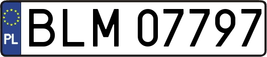 BLM07797