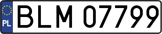 BLM07799