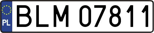 BLM07811