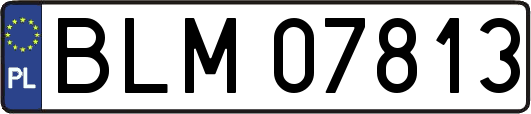BLM07813