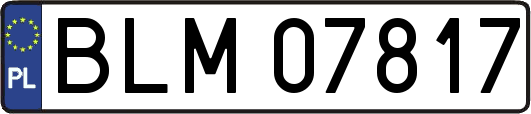 BLM07817