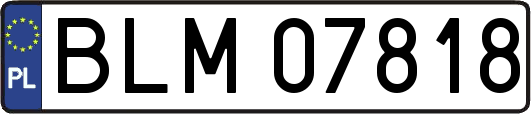 BLM07818