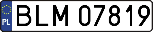 BLM07819