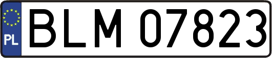 BLM07823