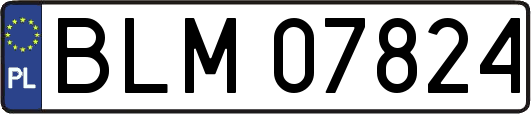 BLM07824