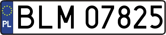 BLM07825
