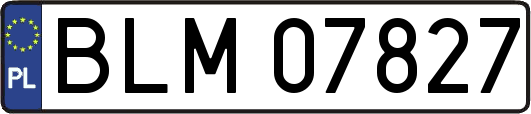 BLM07827