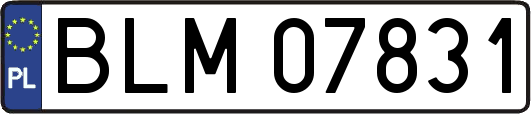 BLM07831