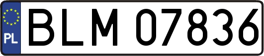 BLM07836