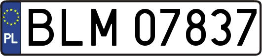 BLM07837
