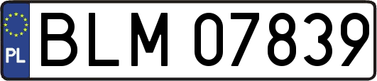 BLM07839