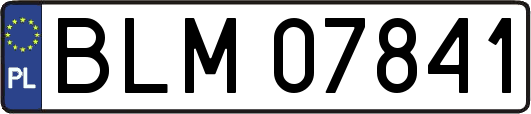 BLM07841