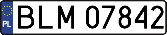 BLM07842