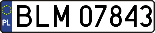 BLM07843