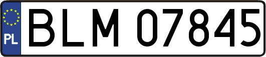 BLM07845