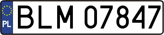 BLM07847