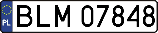 BLM07848
