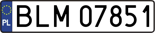 BLM07851