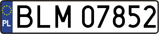 BLM07852