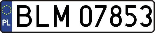 BLM07853