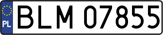 BLM07855