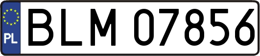 BLM07856