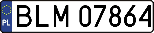BLM07864