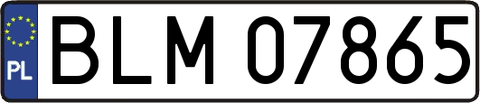 BLM07865