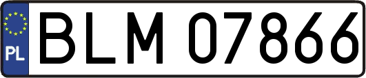 BLM07866